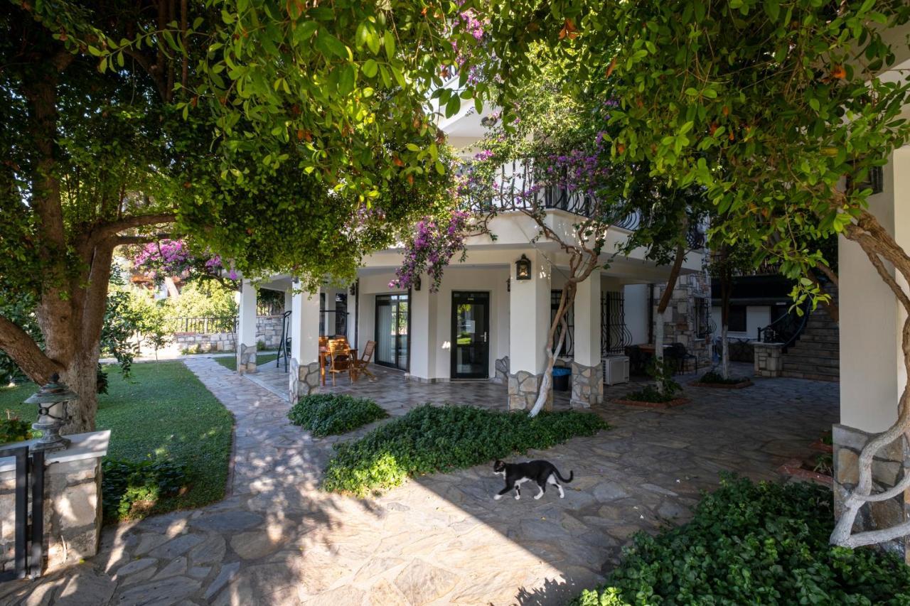Villa Marine Hotel 阿奇亚卡 外观 照片